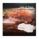 LAKE OF TEARS - Forever Autumn LP, Vinilo Blanco & Negro Marbled, Ed. Ltd.