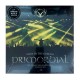 PRIMORDIAL - Gods To The Godless (Live At Bang Your Head Festival Germany 2015) 2LP, Black Vinyl