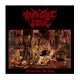 BLACK GOAT VOMIT - Tormenting The Holy CD