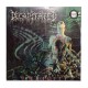 DECAPITATED - Nihility LP, Vinilo Clear, Ed. Ltd.