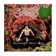 DEMIGOD - Slumber Of Sullen Eyes LP, Vinilo Verde, Ed.Ltd.