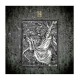 PARADISE LOST - Faith Divides Us - Death Unites Us LP, Gold Vinyl, Ltd. Ed.