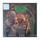 SKELETAL REMAINS - Beyond The Flesh LP, Black Vinyl