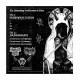 WAMPYRIC RITES / NANSARUNAI - The Astounding Proliferation of Rites LP, Black Vinyl, Ltd. Ed.