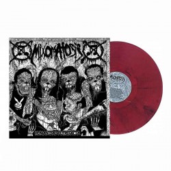 MIXOMATOSIS - Humanidad Putrefacta LP, Red Marbled Vinyl, Ltd. Ed.