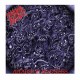 MORBID ANGEL - Altars Of Madness CD, Digipak