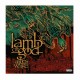 LAMB OF GOD - Ashes Of The Wake 2LP, Black Vinyl, (Deluxe 20 Anniversary)