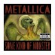 METALLICA - Some Kind Of Monster CD