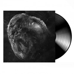 MADRE - Embryo LP, Vinilo Negro, Ed. Ltd.