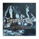 IMMORTAL - At The Heart Of Winter LP, Gold/Black Galaxy Vinyl, Ed. Ltd.