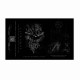 VAGINAL ANOMALIES - Violent Devotion To Kill Cassette Ed. Ltd.