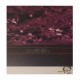 CAVE IN - Jupiter LP, Vinilo Vileta Neón, Ed. Ltd. (25 Aniversario)