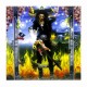 STEVE VAI - Passion And Warfare LP, Black Vinyl