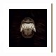 AMENRA - De Toorn LP, Custom Marble Vinyl, Ltd. Ed.