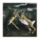 TODOMAL - A Greater Good CD, Ed. Ltd. Digipak