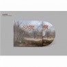 SAOR - Forgotten Paths CD Digipak