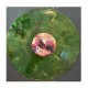 PIG DESTROYER - Mass & Volume LP, Custom Marbled Vinyl, Ltd. Ed.