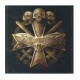 DISMEMBER - Dismember LP, Vinilo Gold Marbled