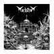 MAELSTROM - Resting In The Pantheon / Augury Of Decline LP, Vinilo Negro