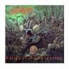 SUFFOCATION - Effigy Of The Forgotten CD