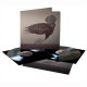 KATATONIA - The Fall Of Hearts 2LP, Black Vinyl