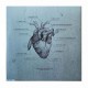 KATATONIA - The Fall Of Hearts 2LP, Black Vinyl