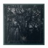 ENISUM - Seasons Of Desolation CD, Digipak
