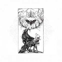 ENISUM - Moth's Illusion CD, Digipak