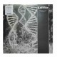 CORONER - Dissonance Theory LP, Vinilo Negro