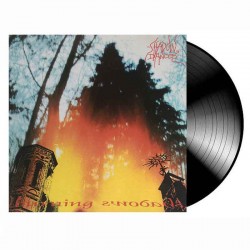 SHADOWDANCES - Burning Shadows LP, Vinilo Negro, Ed. Ltd.