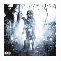 MACHINE HEAD - Through The Ashes Of Empires CD