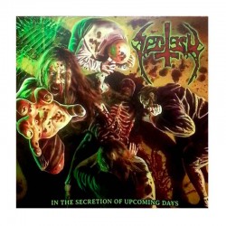 SECTESY - In The Secretion Of Upcoming Days LP