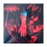 ANASARCA - Survival Mode LP Ed. Ltd.