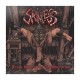 SKINLESS - From Sacrifice To Survival LP Orange Vinyl, Ltd. Ed. Hand-numbered