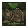 PERVERSITY DENIED - Collision Of Worlds CD, Ltd. Ed.