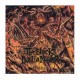 THE BLACK DAHLIA MURDER - Abysmal LP, Vinilo Gold Black Marbled