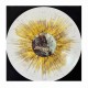 UNLEASHE THE ARCHERS - Apex 2LP, Splatter Vinyl, Ltd. Ed.