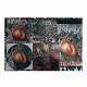 UNBOUNDED TERROR - Nest Of Affliction LP, Vinilo Picture Disc, Ed. Ltd. Numerada