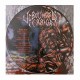 UNBOUNDED TERROR - Nest Of Affliction LP, Picture Disc Vinyl, Ltd. Ed., Numbered