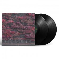 SLEEP TOKEN - Even In Arcadia 2LP, Vinilo Negro