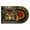 MONSTROSITY - Rise To Power LP, Vinilo Metallic Gold Black Dust, Ed. Ltd.