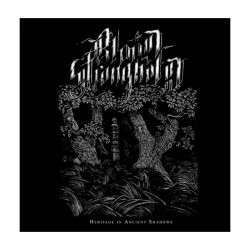 BLOOD STRONGHOLD - Heritage In Ancient Shadows LP, EP, Vinilo Gris Marmoleado, Ed. Ltd.
