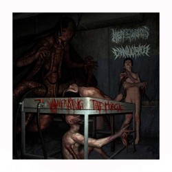 NASTY SURGEONS/CARNIVORACY - Infesting The Morgue LP Split