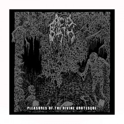 ACID BIRTH - Pleasures Of The Divine Grotesque LP