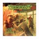 TERRORDOME - Straight Outta Smogtown LP Yellow Vinyl, Ltd. Ed.