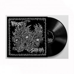 TEMPESTAT/SOTA TERRA LP Split