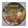 PHARMACIST - Medical Renditions Of Grinding Decomposition LP Picture Disc