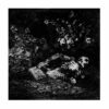 CRYPTIC WANDERINGS / IN THE SHADES 7" EP