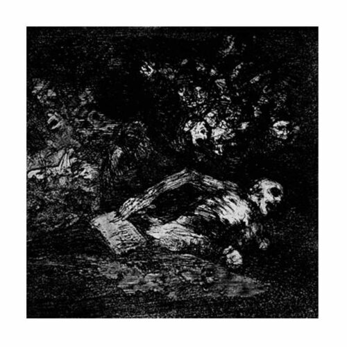 CRYPTIC WANDERINGS / IN THE SHADES 7" EP