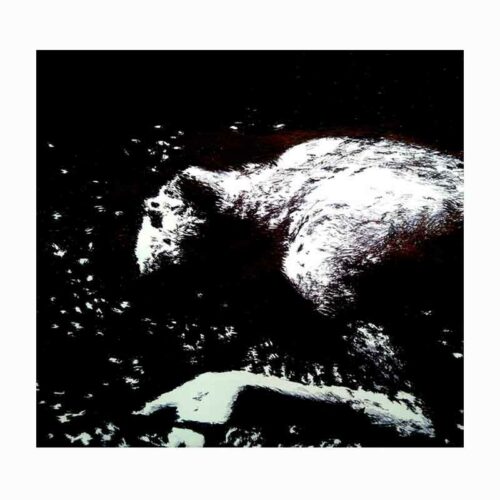 SOTA TERRA - Declivi LP